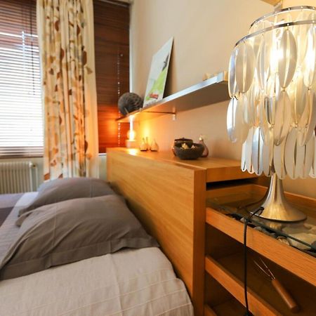 Le Rhone Apartman Annecy Kültér fotó